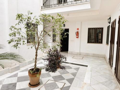 Apartamento tranquilo en barrio bohemio