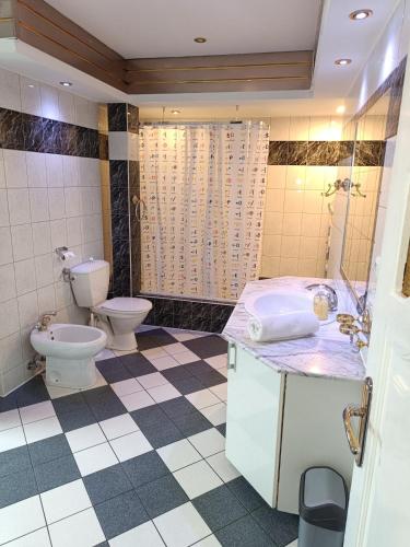 a bathroom with a toilet and a sink at Paula Apart in Wadowice