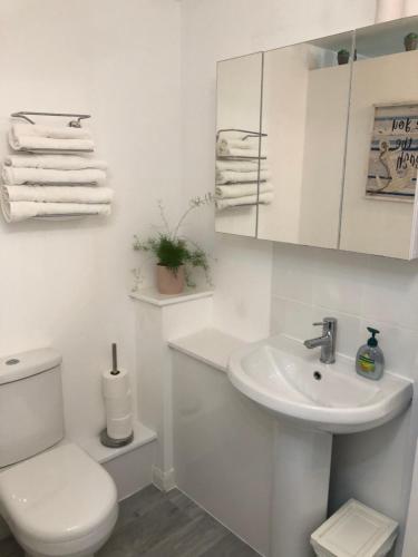 a white bathroom with a toilet and a sink at Basingstoke En Suite Room in Garden Annex in Basingstoke