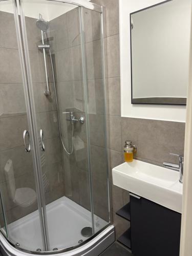 a shower with a glass door next to a sink at Gästezimmer Flechtorf in Lehre