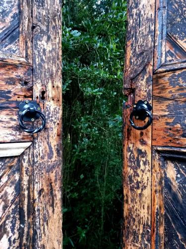 an old wooden door with black knobs on it at Burnside Lodge in Balgowan