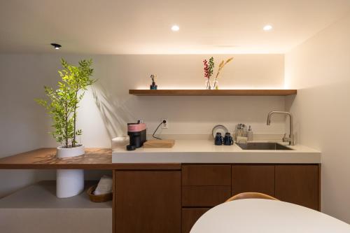 a kitchen with a sink and some plants on a counter at 루아호텔 in Seoul