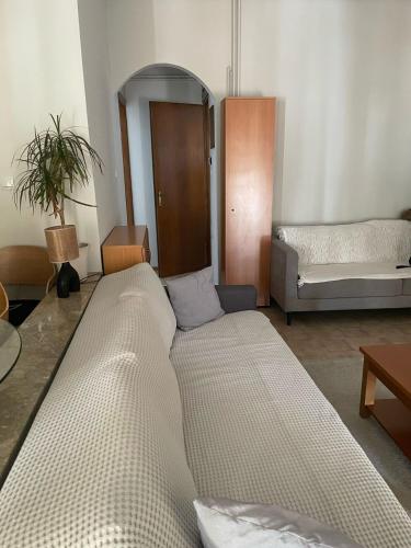 Stylish Suite