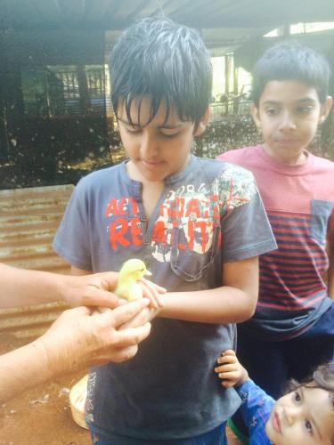 a young boy holding a toy duck in his hands at The Cradle Berry Farm in Muldersdrift
