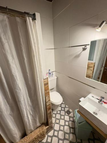 a bathroom with a shower curtain and a toilet at Condor De Los Andes in El Chalten