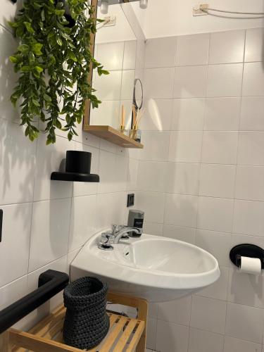 a bathroom with a sink and a potted plant at La Cabine Noire - Foppolo in Foppolo