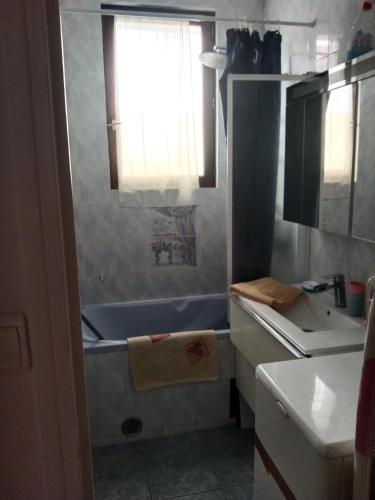 une salle de bain avec une baignoire, un lavabo et une fenêtre dans l'établissement Andrea, à Fontenay-sous-Bois