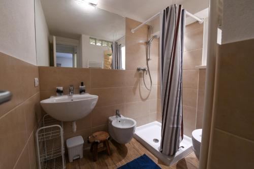 a bathroom with a sink and a shower at Sant'Orso Cozy Home in Cogne