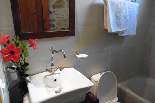 Anópolis的住宿－Valley View House，一间带水槽、卫生间和花卉的浴室