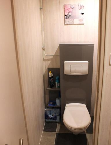 a small bathroom with a toilet in a room at La croix majot in Regniowez