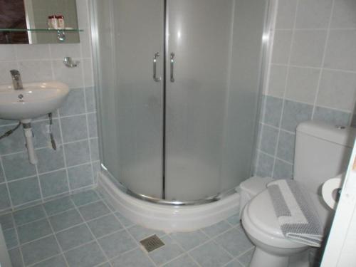 a bathroom with a shower and a toilet and a sink at mezonetaki in Karpenisi