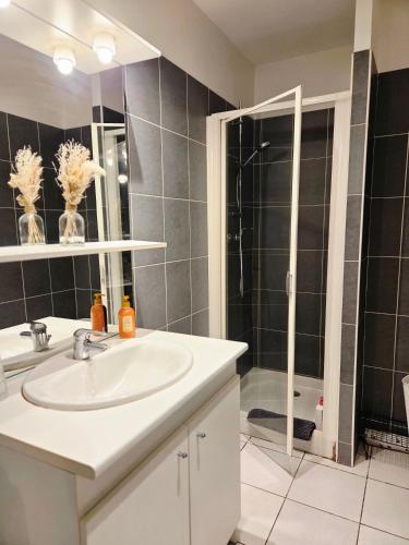 a bathroom with a sink and a shower at FELTON - Appartement 2 pers Dinan in Dinan