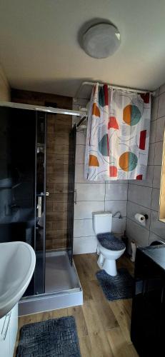 a bathroom with a shower and a toilet and a sink at Domek Na Hawajach in Polana