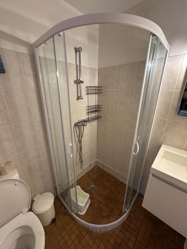 a shower with a glass door in a bathroom at Euronat naturist studio in Grayan-et-lʼHôpital
