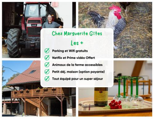 a collage of photos with a chicken and a bottle of wine at Insolit'appart à la ferme in Horbourg