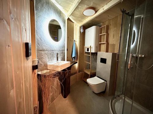 a bathroom with a toilet and a sink and a shower at Jurta Jura leśna in Przybysławice