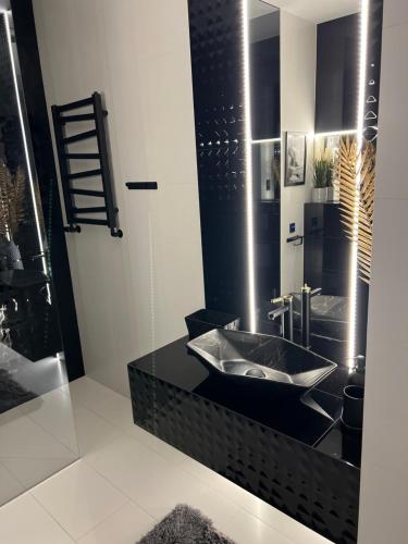 Premium Apartment with Garage & Smart Lock Katowice City Center