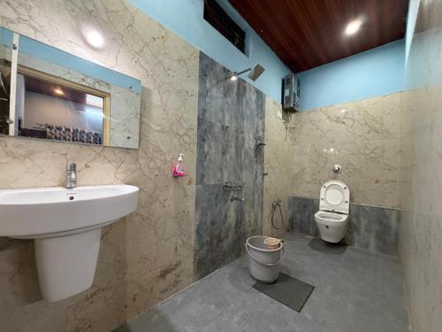 a bathroom with a sink and a toilet at Hampi Banana Farm House in Hospet