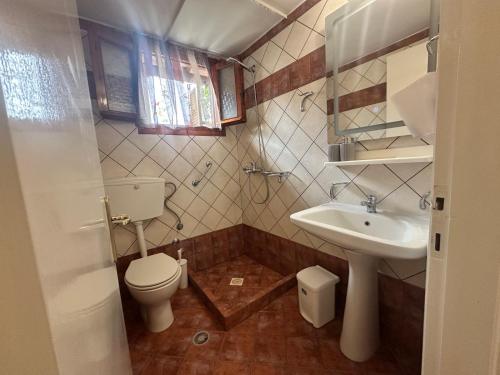 a small bathroom with a toilet and a sink at Achladies Cottages in Achladies