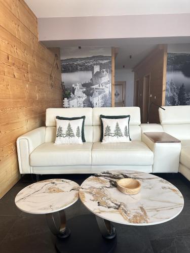 APARTAMENT No3 MOUNTAIN VIEW Sauna Priv z ogrodem okolice Zakopane Czorsztyn Kluszkowce