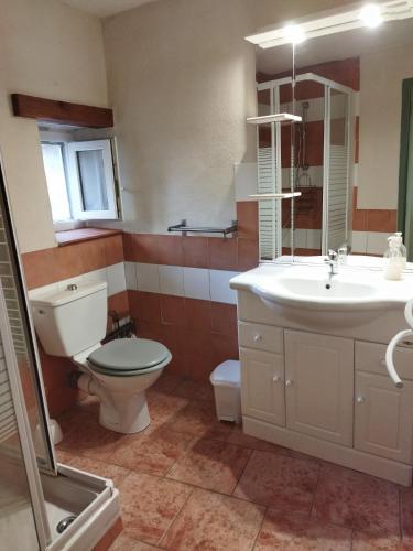 a bathroom with a toilet and a sink and a mirror at Gîte Côté Sud in Vagnas