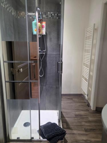 a shower with a glass door in a bathroom at La Pause Dinannaise in Dinan