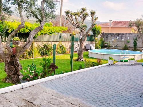 a backyard with a swimming pool and a tree at Casa Aguarela in São Romão