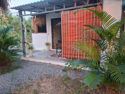Jardí fora de Zen Space Nesat
