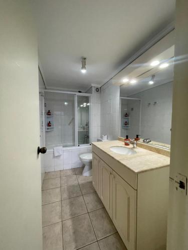 a bathroom with a sink and a toilet at Hotel del Volcán in Pucón