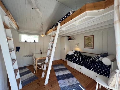 a bedroom with a bunk bed and a ladder at Cozy Studio on Utö Near Beach & Restaurant in Utö