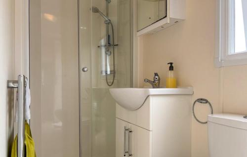 a bathroom with a shower and a sink at Europarcs Zuiderzee Berkel-4 #363 in Biddinghuizen