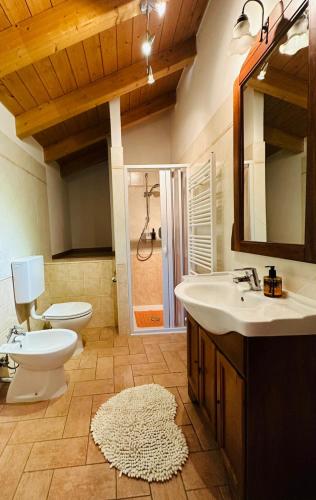 a bathroom with a toilet and a sink and a mirror at Castello San Romano in Baiso