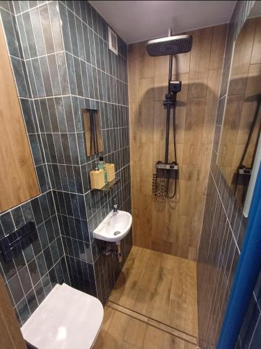 a bathroom with a toilet and a sink at Crystal Baltic Studio Gdańsk self check in - 24h in Gdańsk