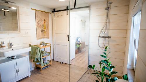 a bathroom with a shower and a sink at Ferienhaus Peenegrün in Jarmen