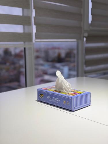 Lux Aeroport Burebista Apartament 114