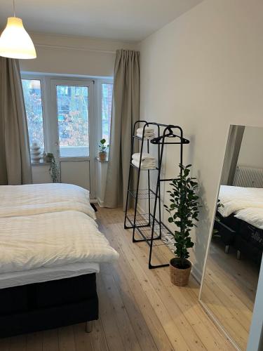 a bedroom with a bed and a plant in it at Hyggelig lejlighed tæt på centrum og letbanestop in Odense