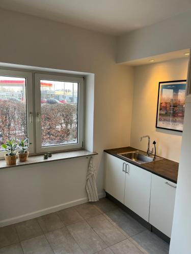 a kitchen with a sink and two windows at Hyggelig lejlighed tæt på centrum og letbanestop in Odense