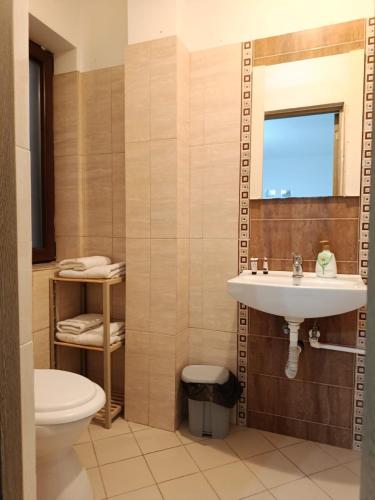 a bathroom with a sink and a toilet at Studio M in Timişoara