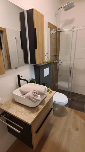 a bathroom with a sink and a shower and a toilet at BestFriends-Lenzing in Lenzing