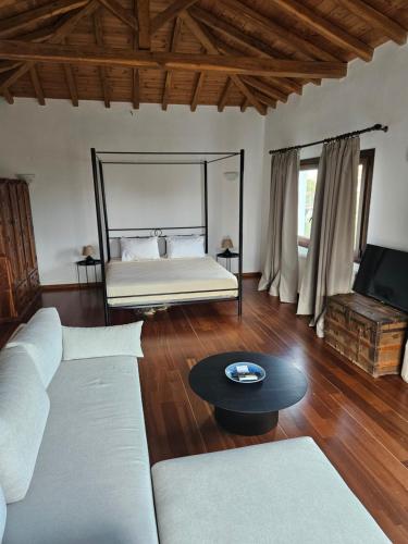 a living room with a couch and a bed at Paralies Resort in Skiathos