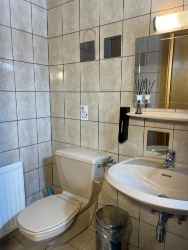 a bathroom with a toilet and a sink at Hotel Zemlinski in Payerbach