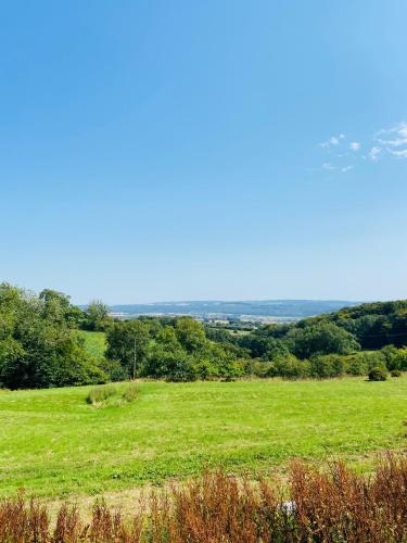 a field of green grass with trees in the background at The Mill Stylish Rural Apartment with Beautiful Views in Welsh Newton Common