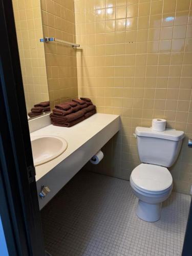 a bathroom with a toilet and a sink and a mirror at Minnedosa Inn in Minnedosa