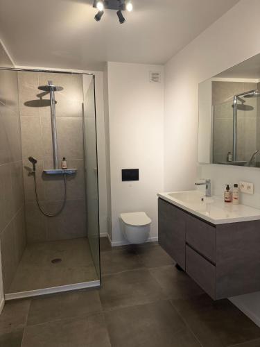 a bathroom with a shower and a toilet and a sink at 't Wellement in Denderleeuw