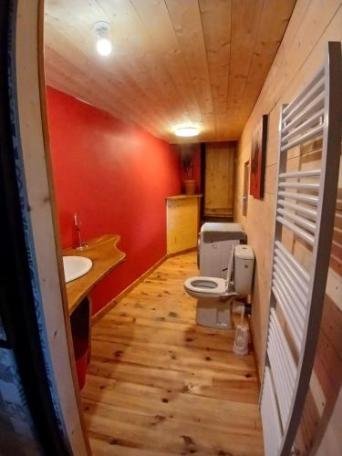a bathroom with a toilet and a sink at Apparemment spacieux in Massat