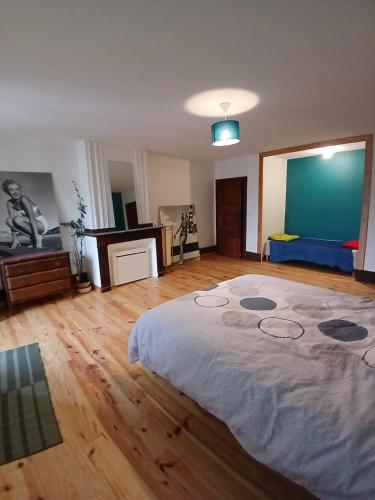 a large bedroom with a large bed in a room at Apparemment spacieux in Massat