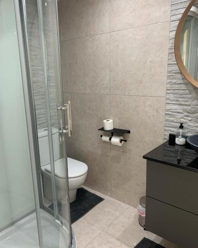 a bathroom with a toilet and a glass shower at Palmeras Puerto Torrevieja in Torrevieja