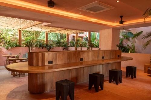 a bar in a restaurant with plants at Casa Toro La Punta in Puerto Escondido