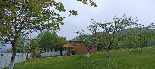 Foto de la galeria de Tehran a Quba