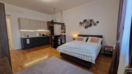 a large bedroom with a bed and a kitchen at Boudoir-Art Studio Apartment in Debrecen